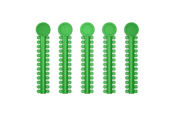 Home - 10Green scaled e1663592746503