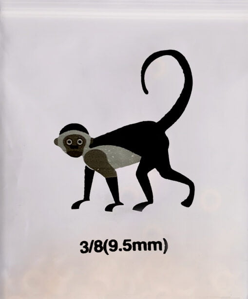 Home - monkey e1663147738692